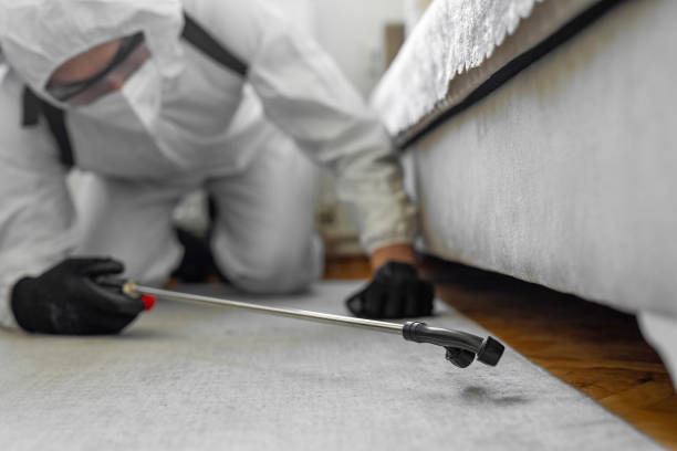 Professional Cockroach Control technician working in Wyandanch, NY