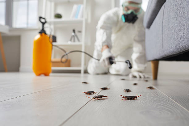 Trusted Fumigation Services service in Wyandanch, NY - Nex Pest Control