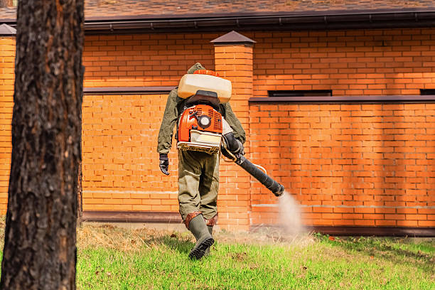Trusted Bed Bug Control service in Wyandanch, NY - Nex Pest Control